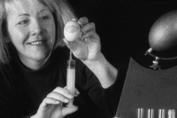 woman injecting an egg at tabletop set with miniature laboratory equipment. 